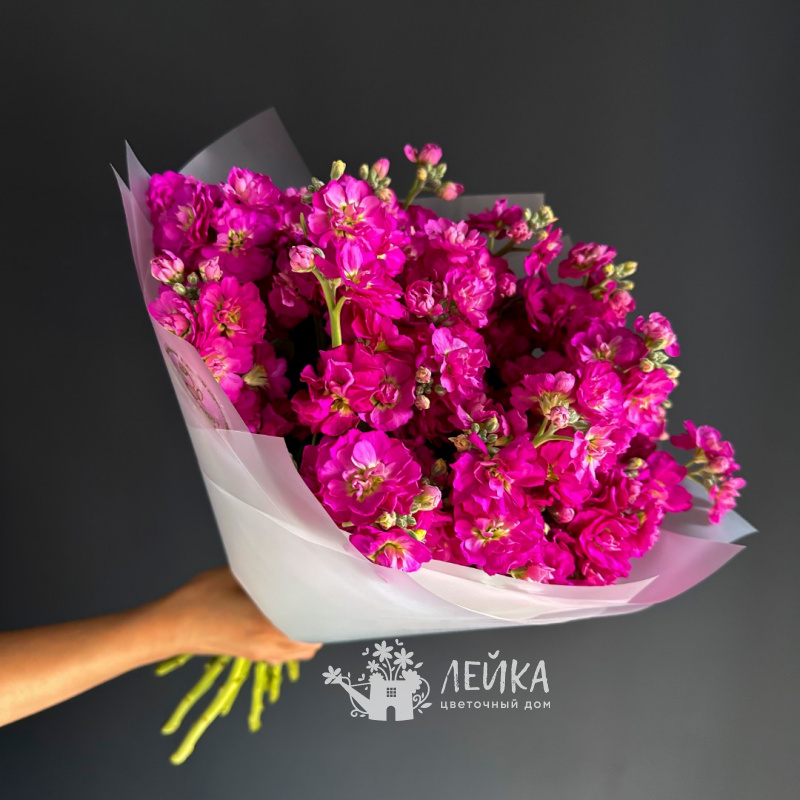 Утренний привет