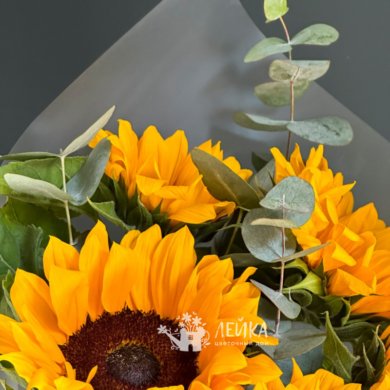 Яркое воспоминание 1