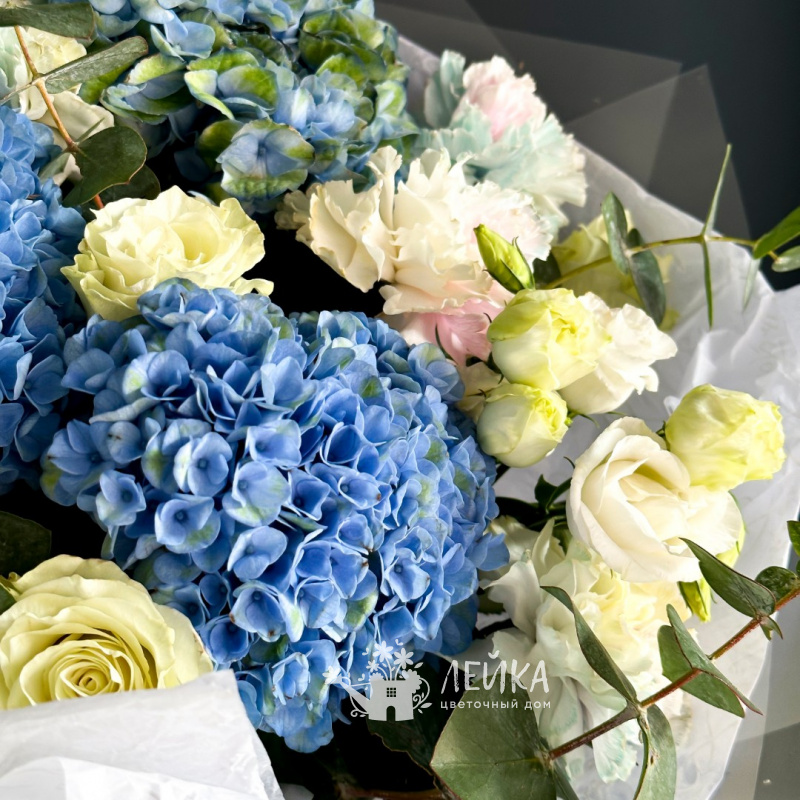 Яркие мечты 1