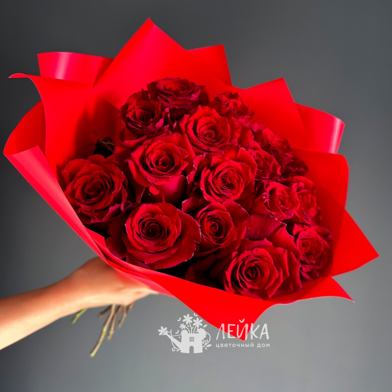 Солнечный зайчик