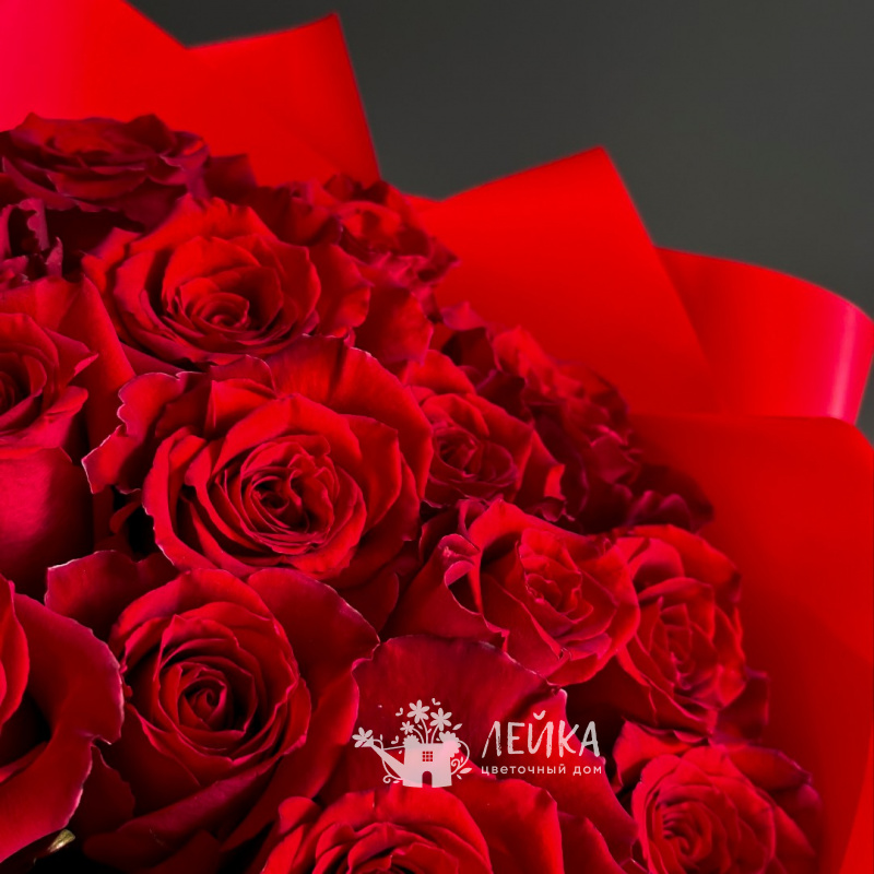 Солнечный зайчик 1