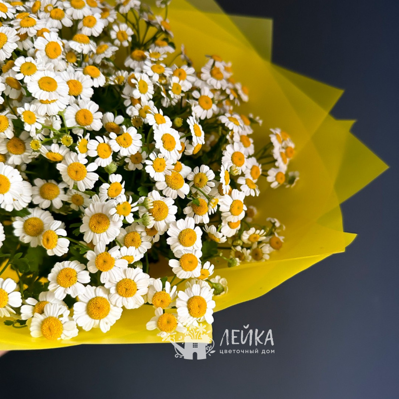 Яркие эмоции 1