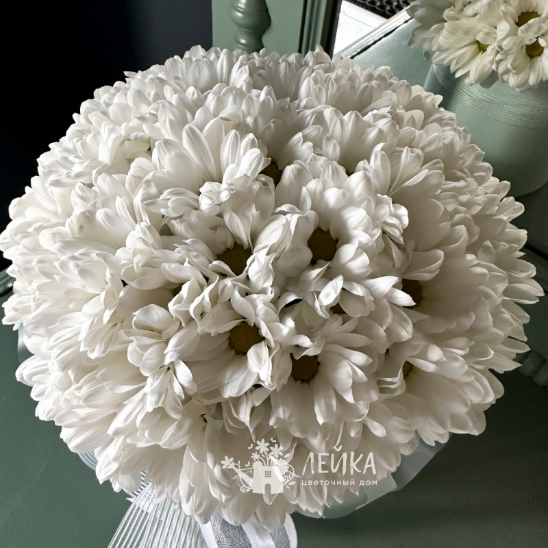 Маленькая радость 1