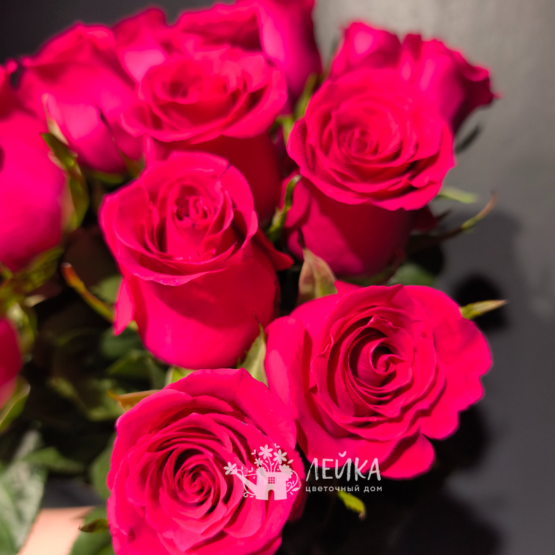 Розы сорта &laquo; Готча&raquo; 1