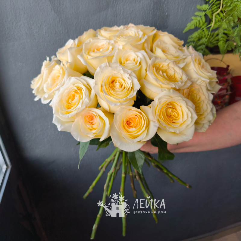 Роза Канделайт 1