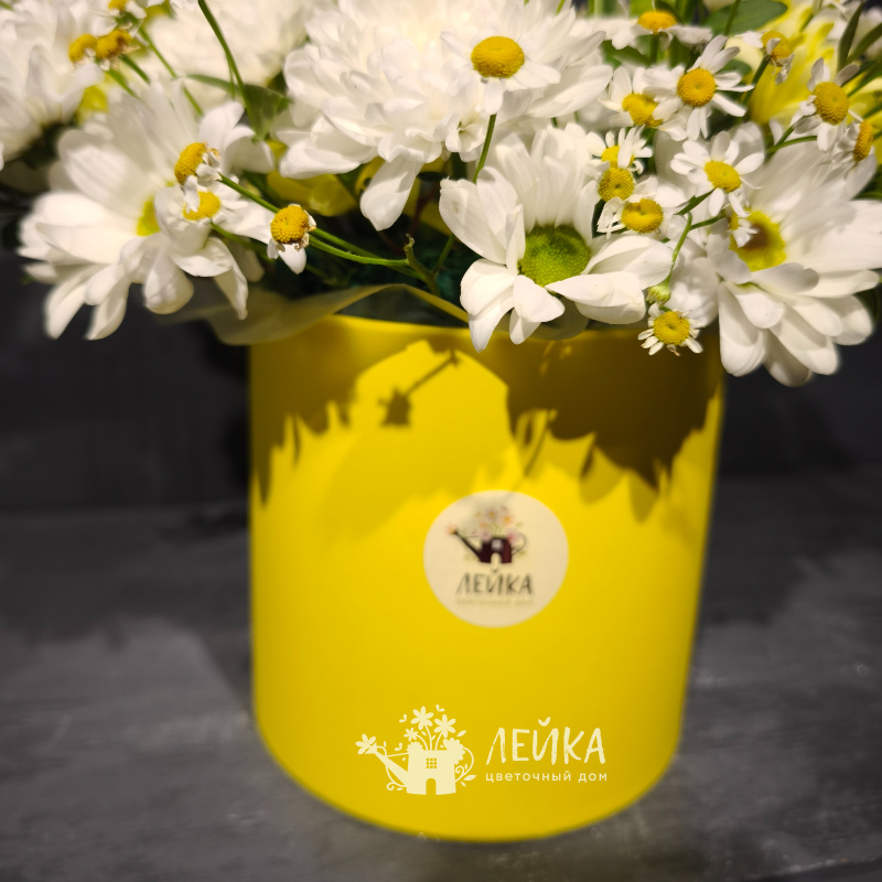 Ромашковое настроение 2