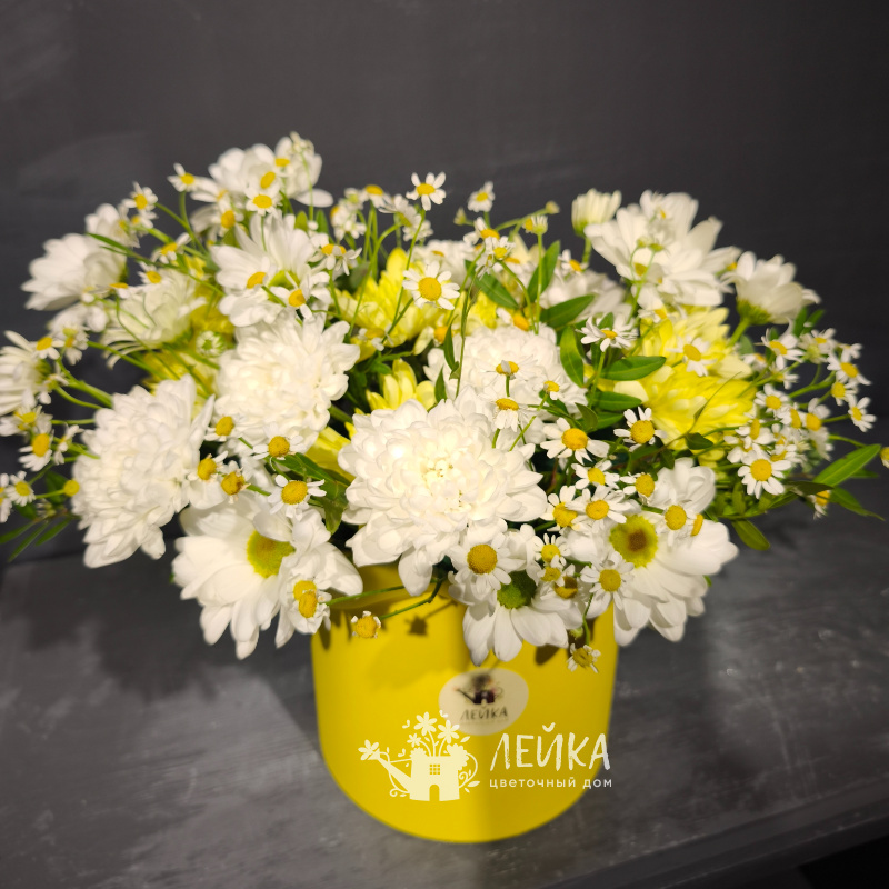 Ромашковое настроение