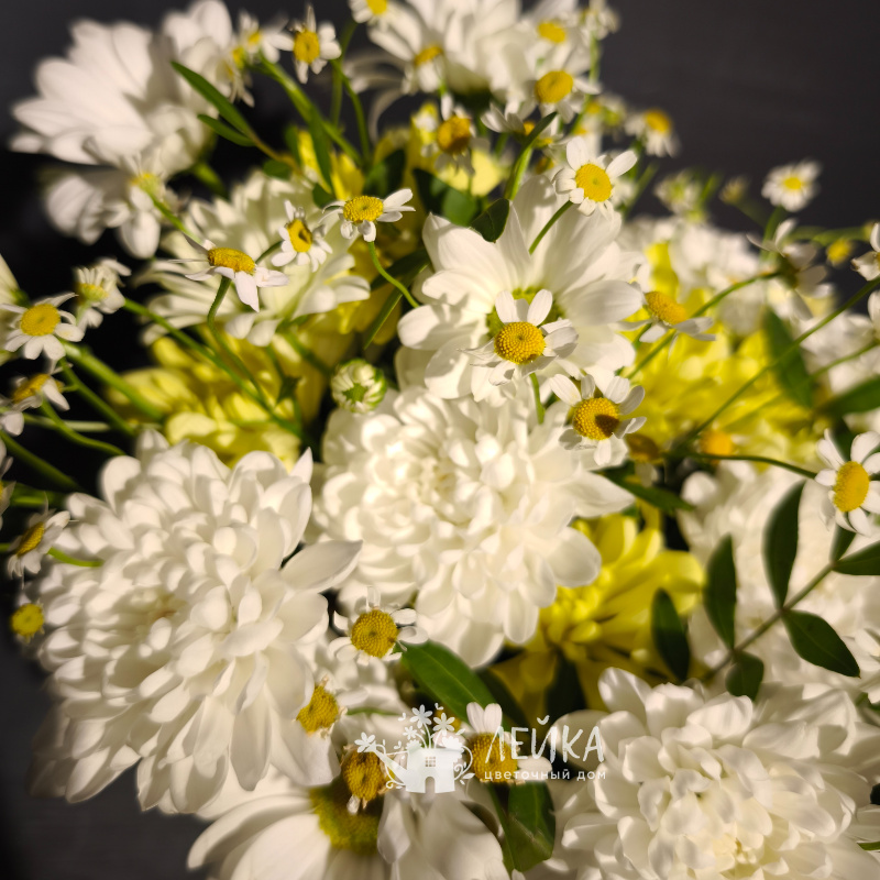 Ромашковое настроение 1