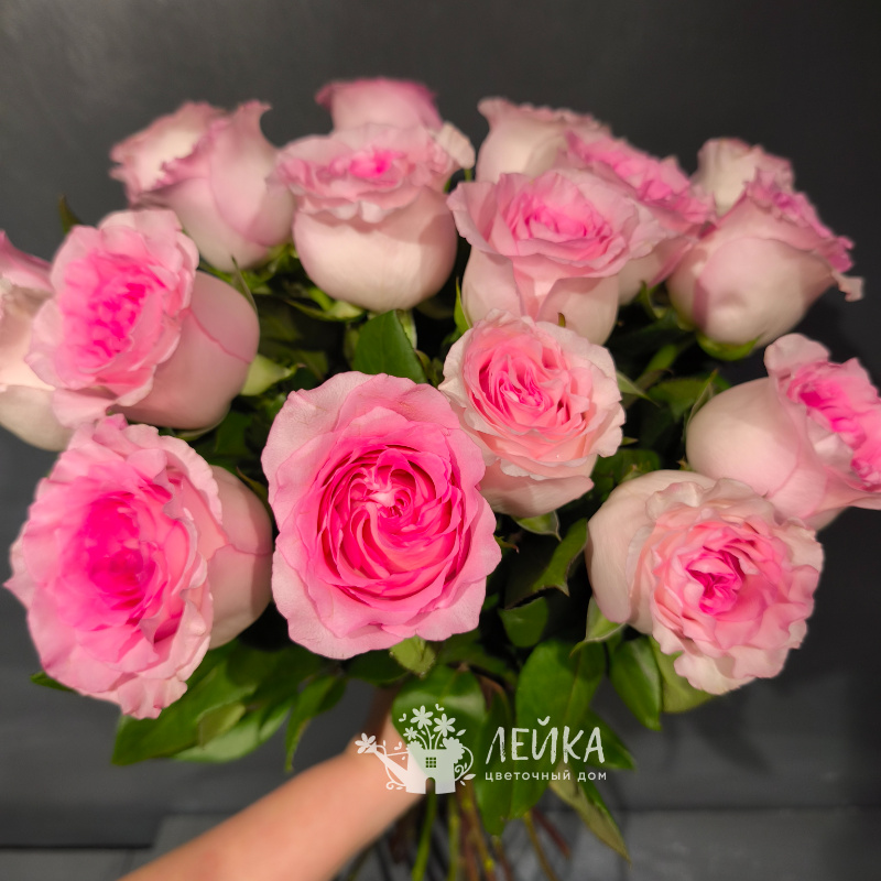 Розы сорта &laquo;Мандала&raquo;