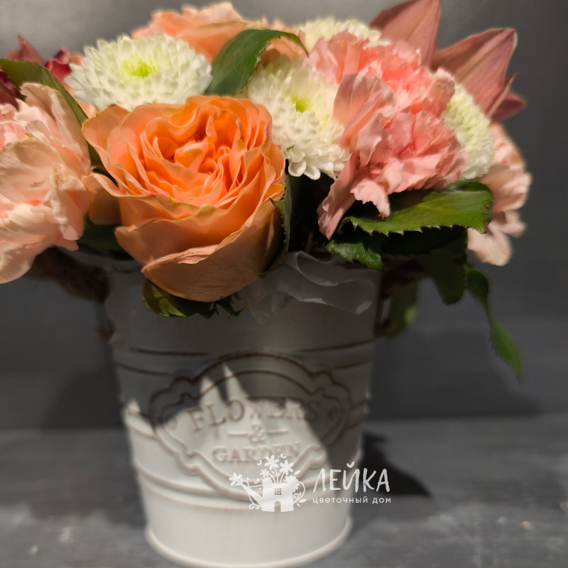 Персиковые грезы 1