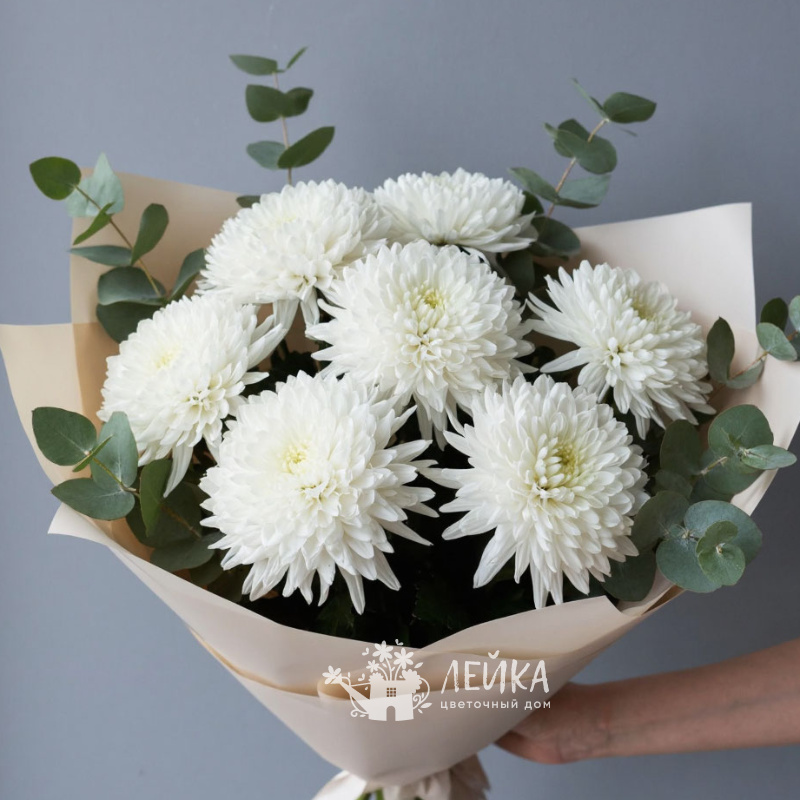 Зимняя свежесть