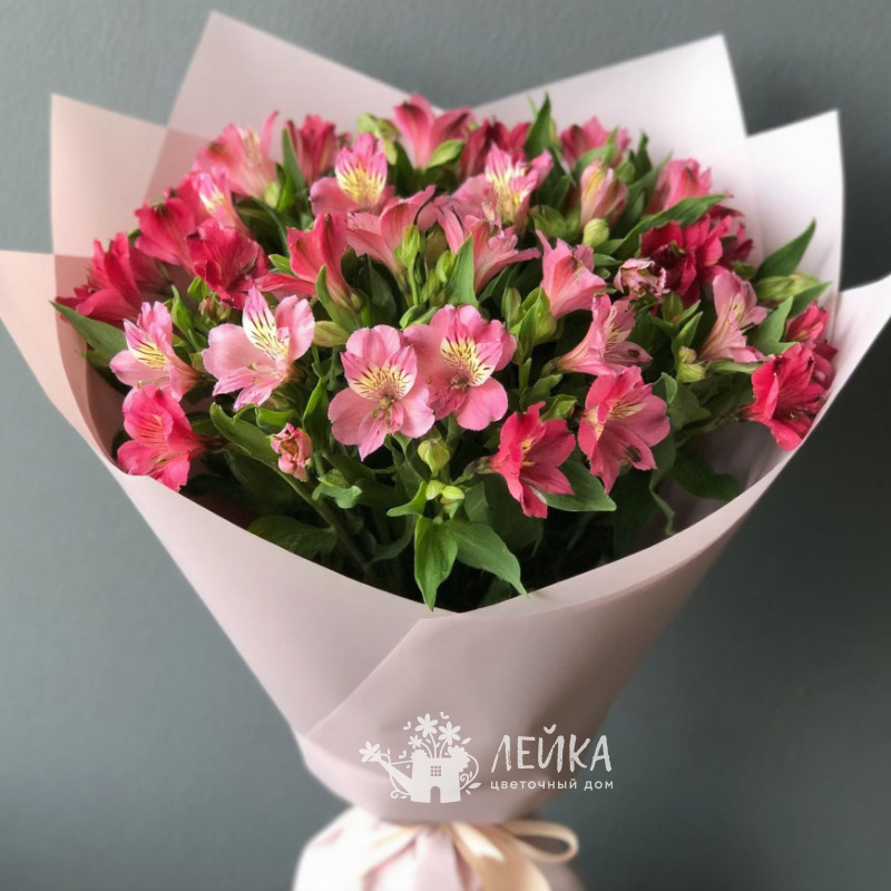 Розовые Альстромерии