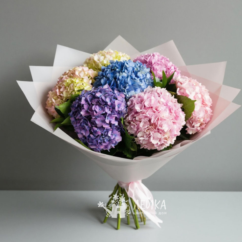 Облако Гортензий