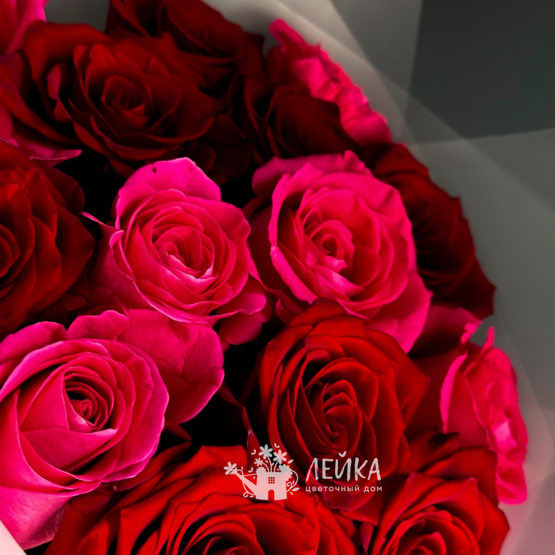 Комплимент души 1